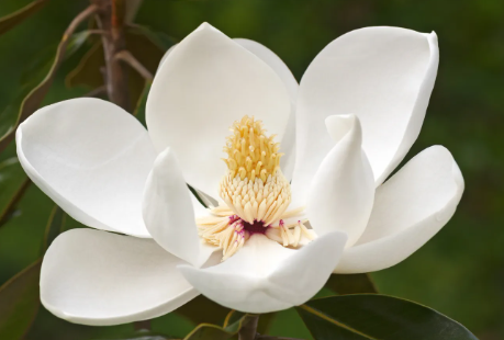 Behind the Scenes at Magnolia Kay: How Our DIY Paint Kits Are Made with Love
